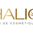 logo thalion logo thalion